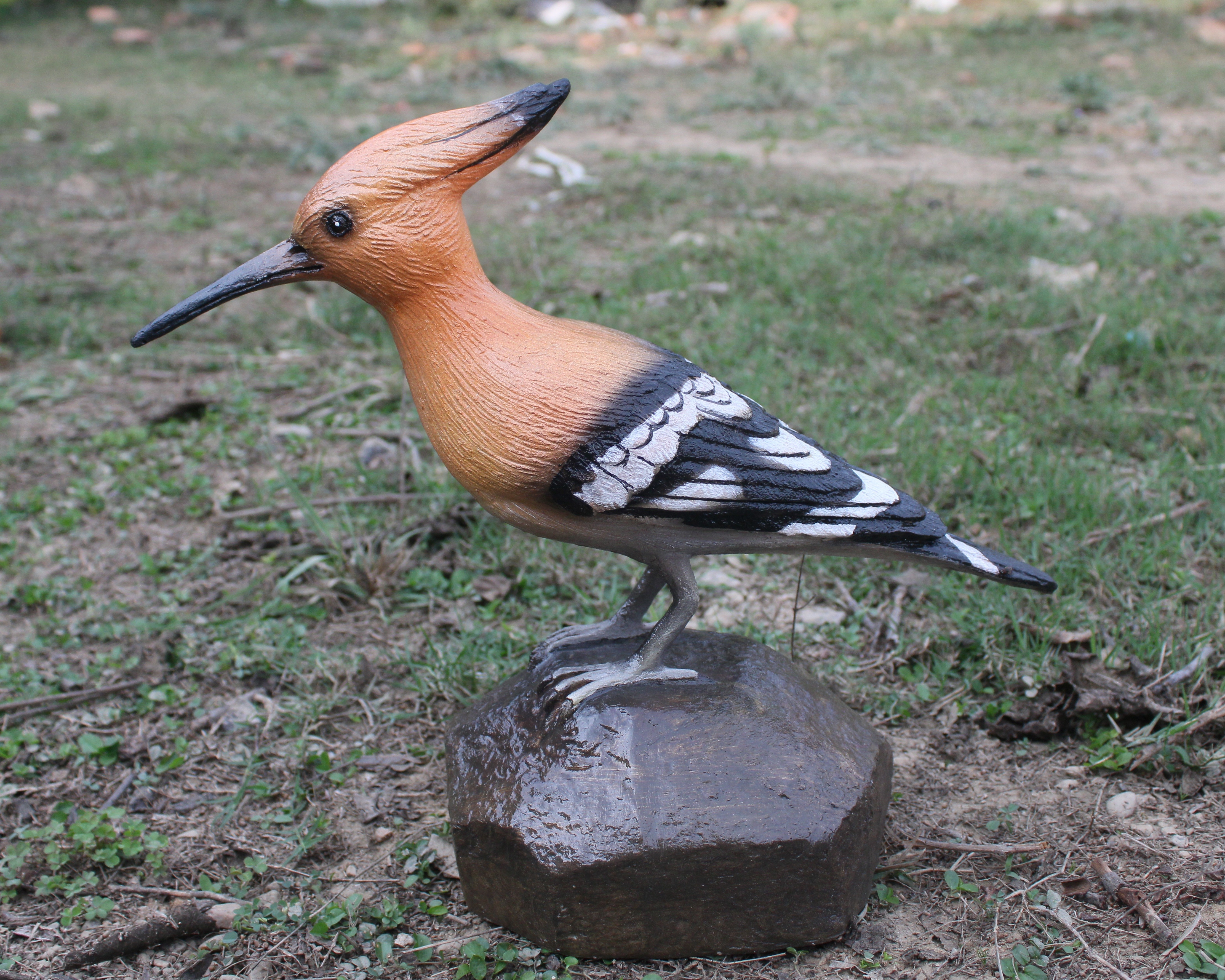 HUDHUD BIRD