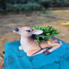 DEER POT