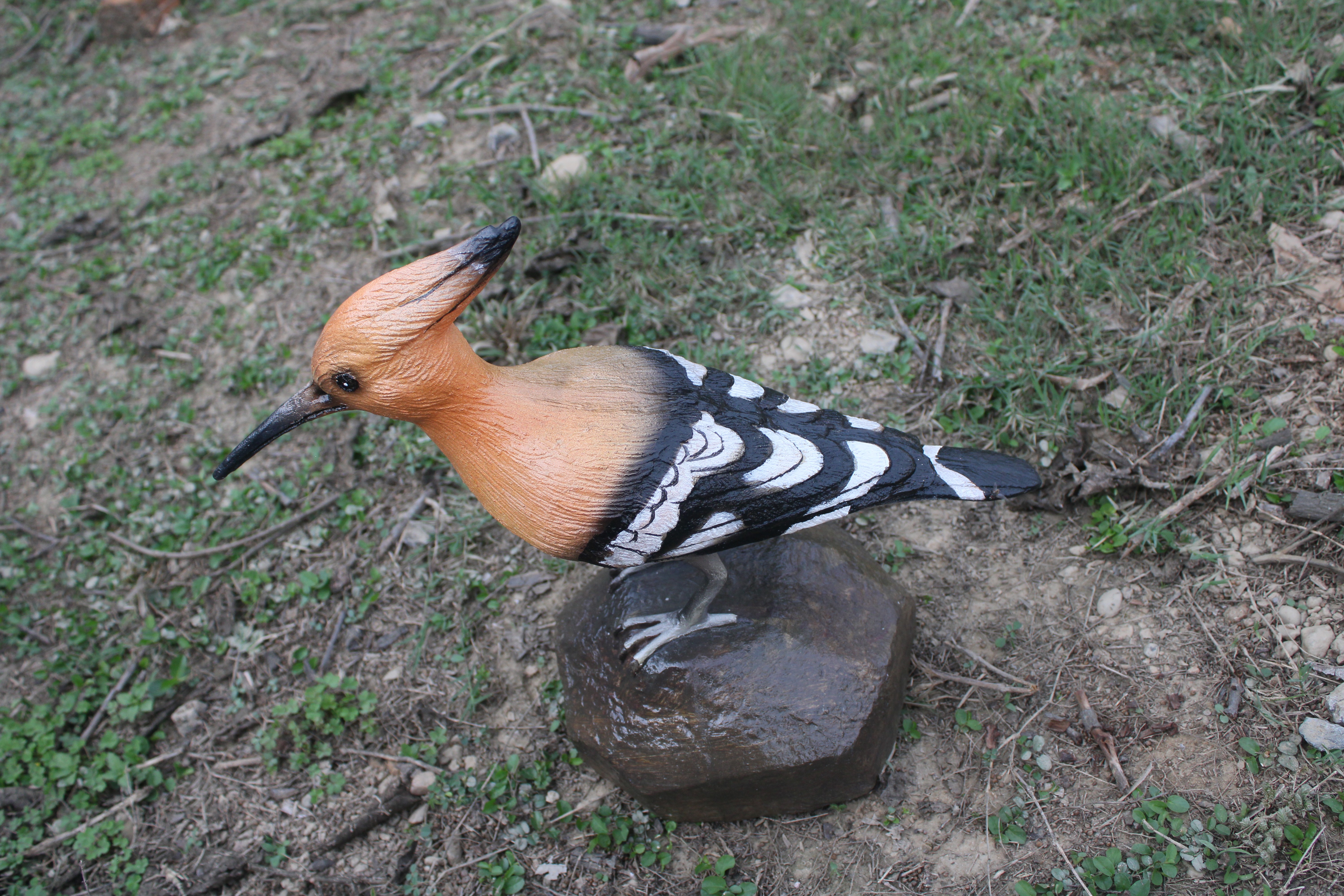 HUDHUD BIRD