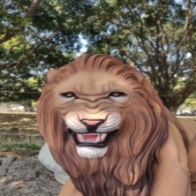 Lion FRP