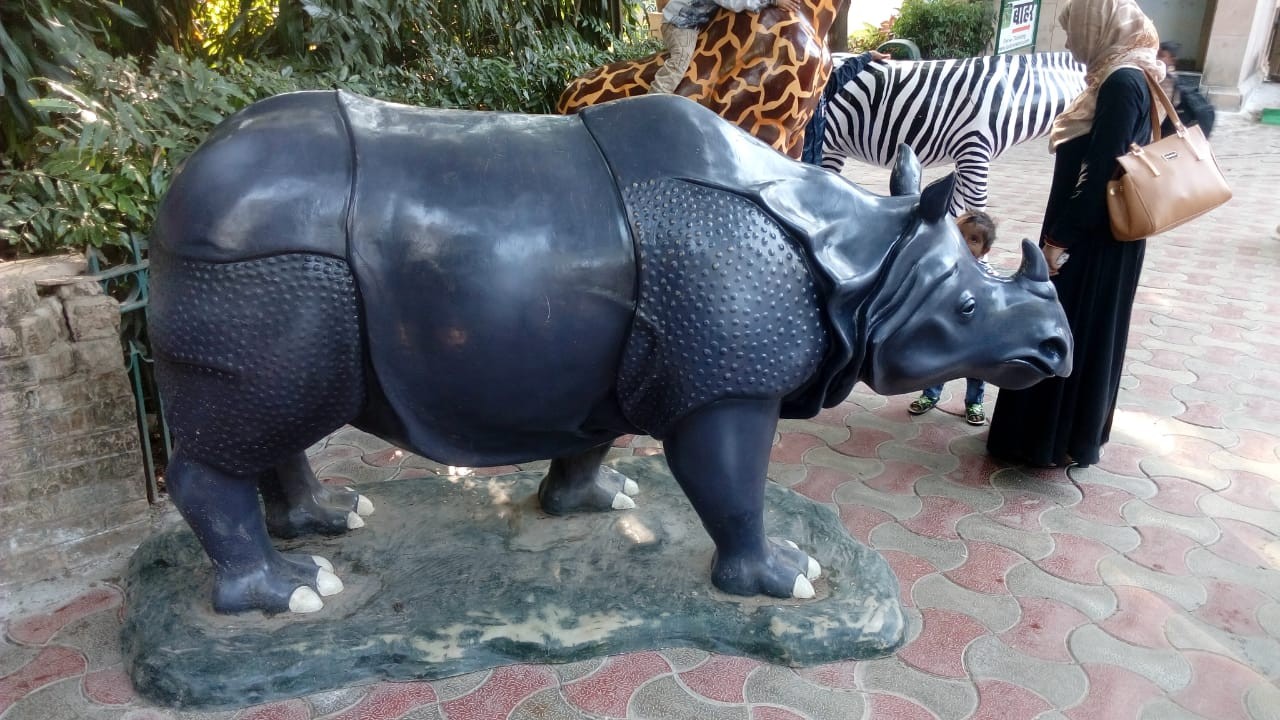 Rhinoceros