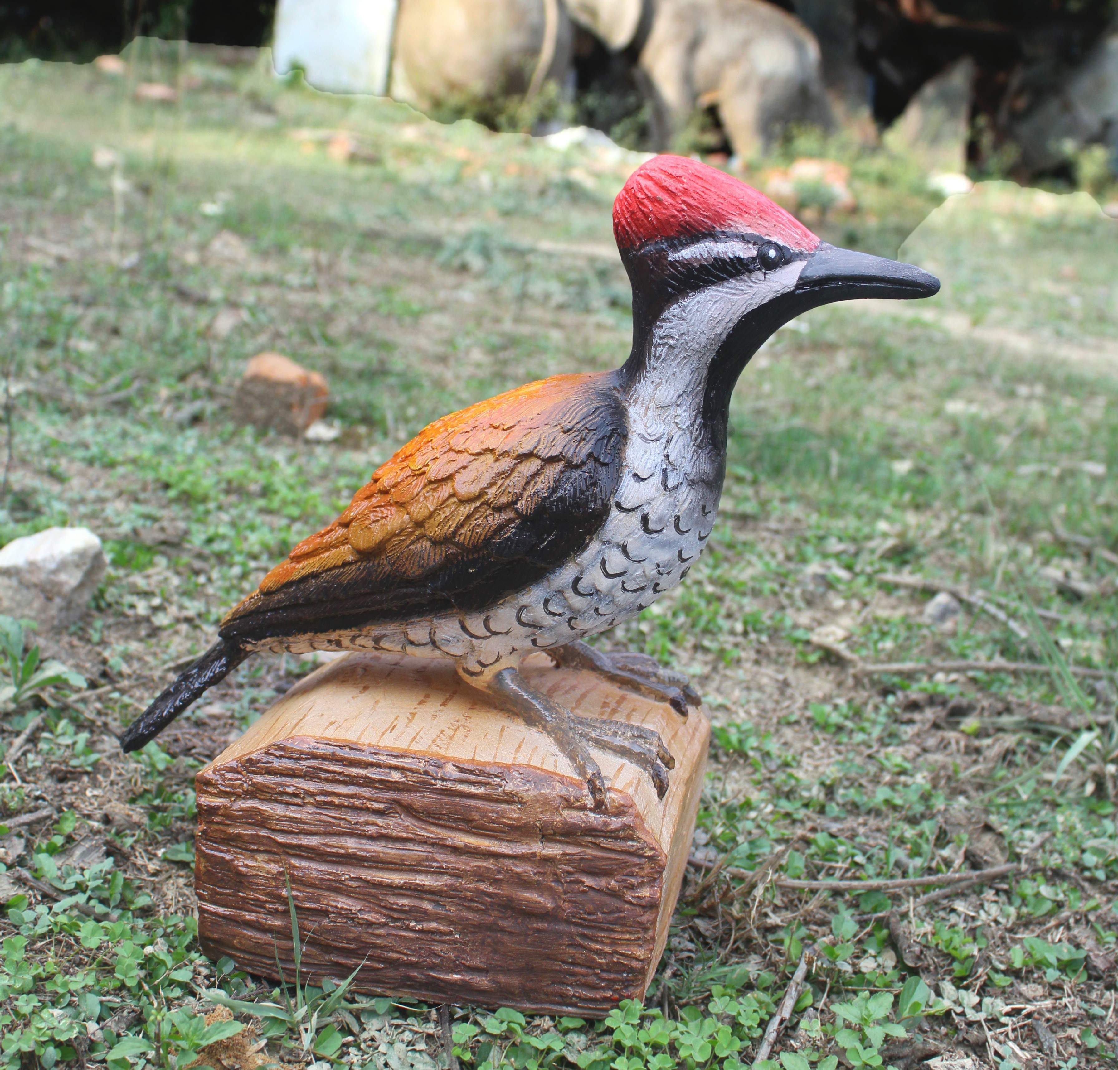 Woodpecker